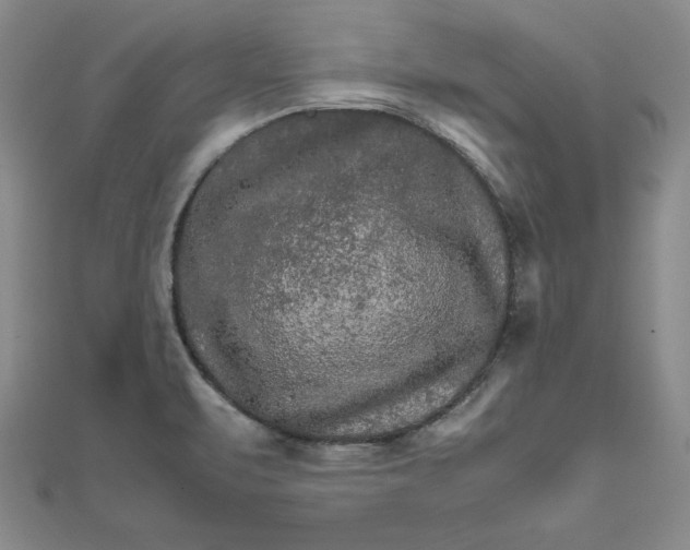 X0000111681471200908071415