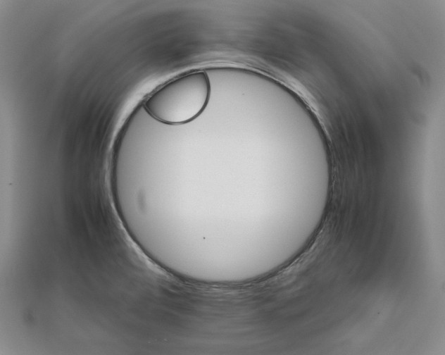 X0000111681472200908071415