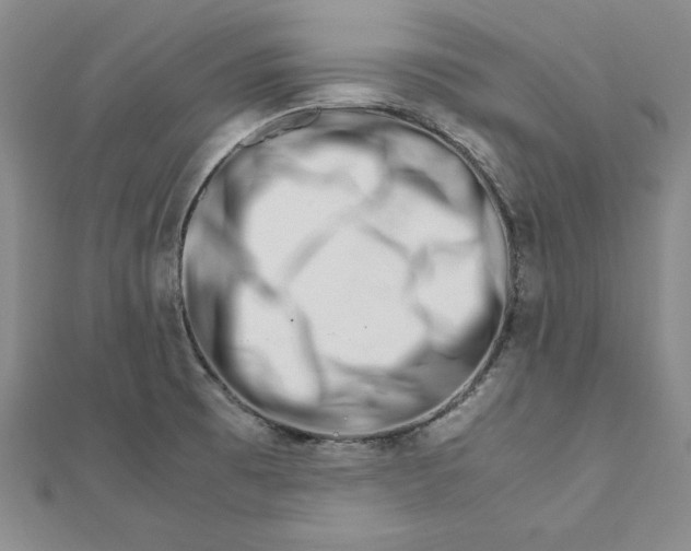 X0000111681473200908071415