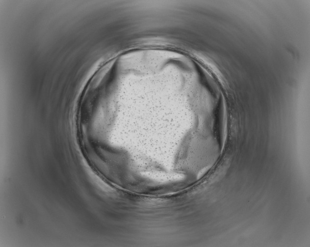 X0000111681475200908071415