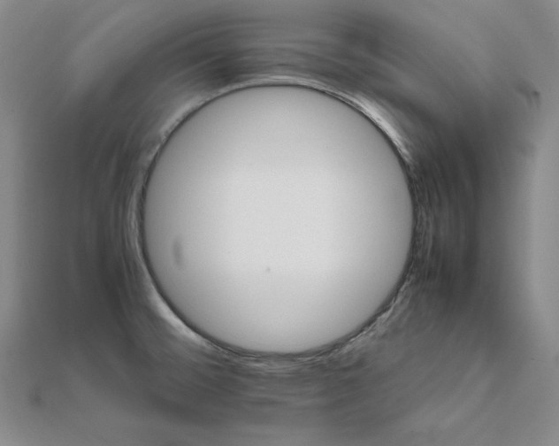 X0000111681476200908071415