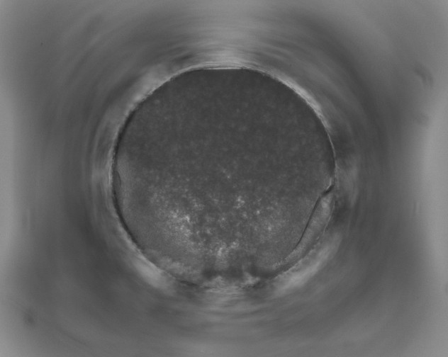 X0000111681477200908071415