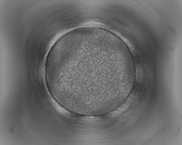 X0000111681478200908071415