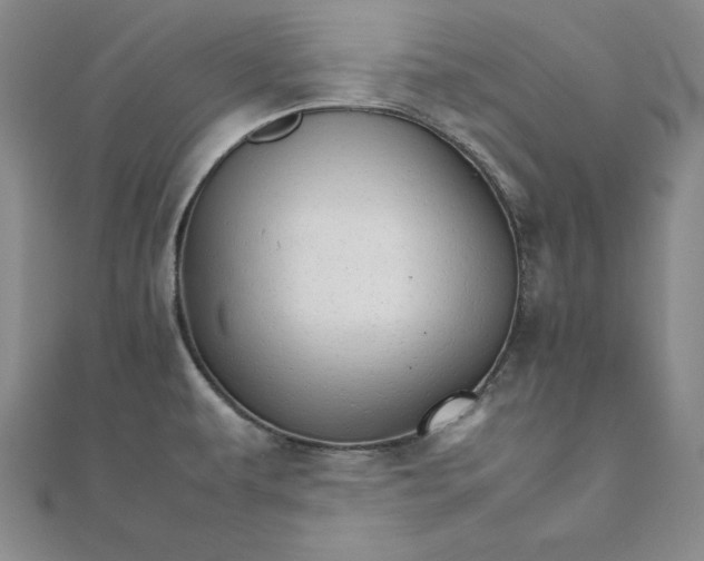 X0000111681479200908071415