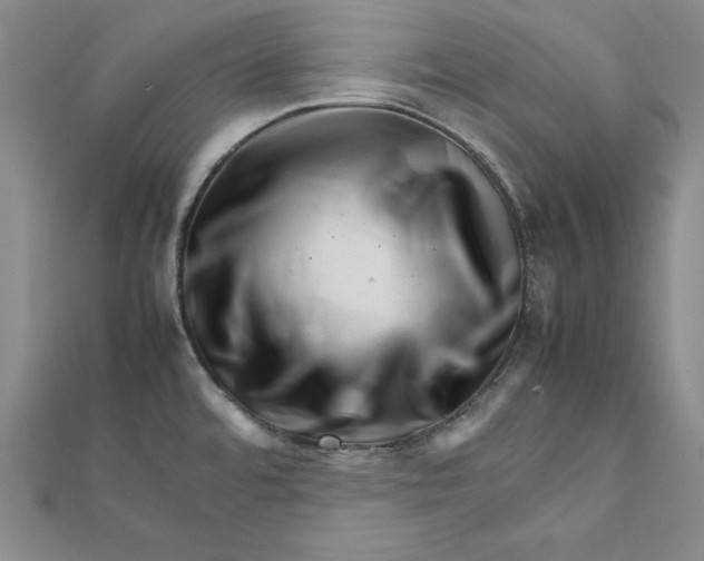 X0000111681480200908071415