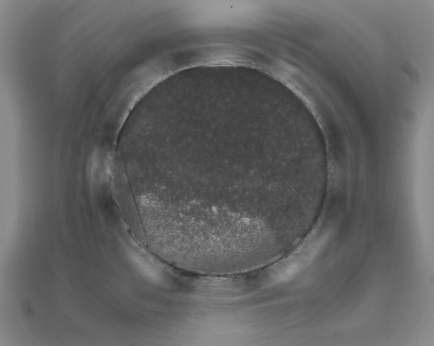 X0000111681481200908071415