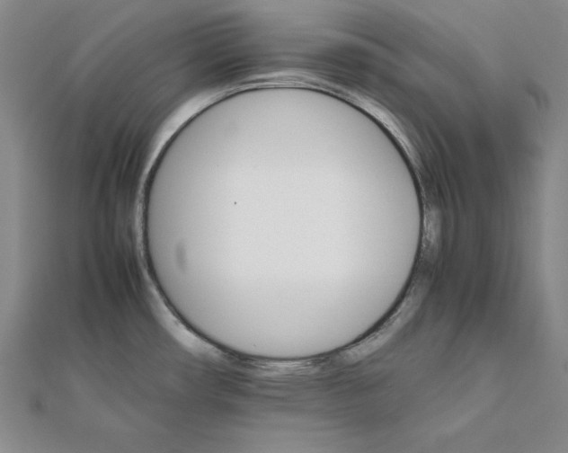 X0000111681482200908071415