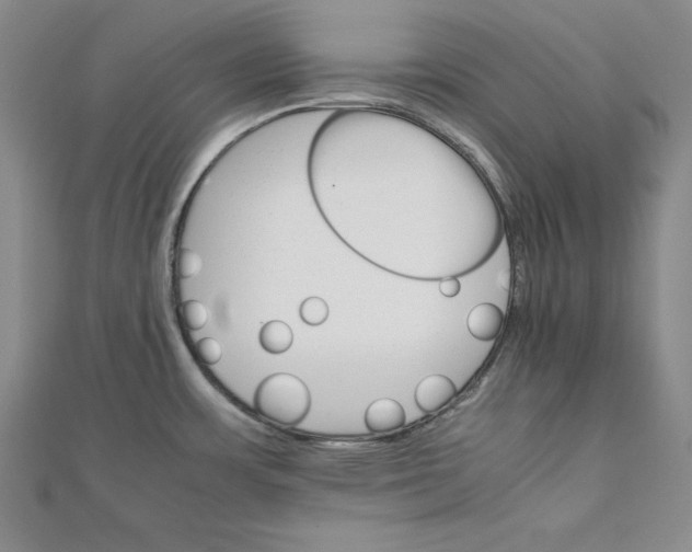 X0000111681483200908071415