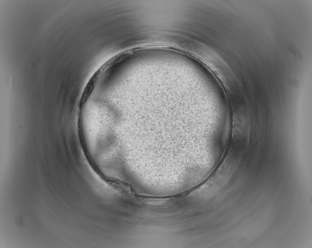 X0000111681484200908071415