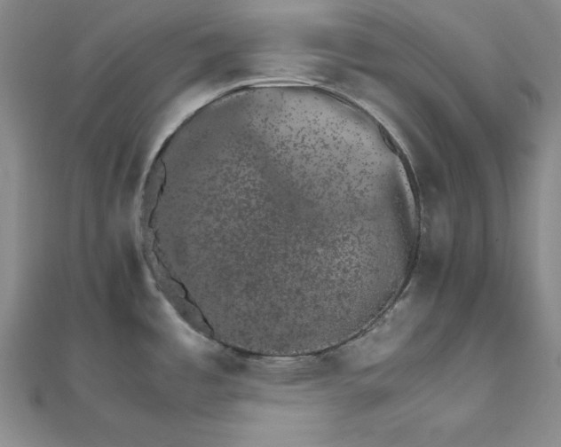 X0000111681485200908071415