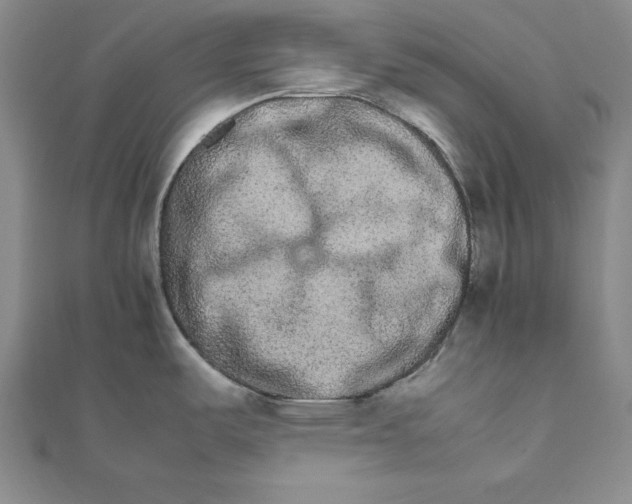 X0000111681487200908071415