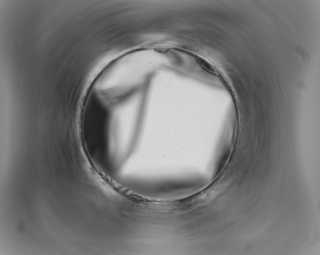 X0000111681488200908071415