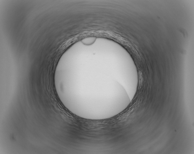 X0000111681489200908071414