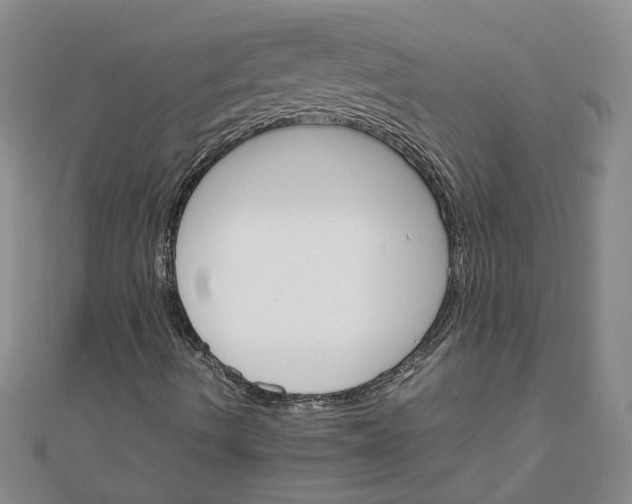 X0000111681490200908071414