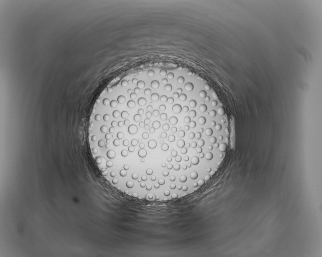 X0000111681491200908071414