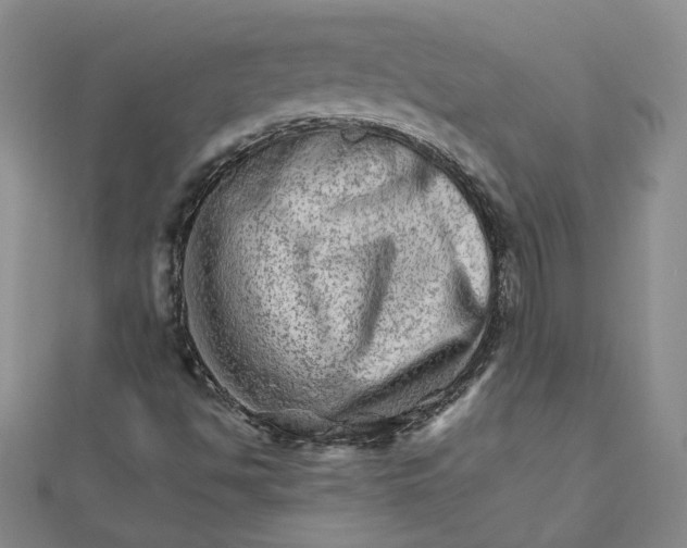 X0000111681494200908071414