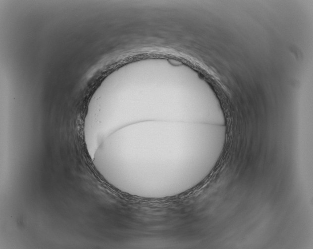 X0000111681495200908071414