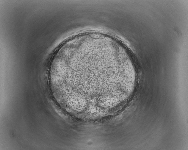 X0000111681496200908071414