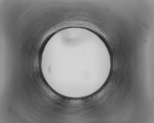 X0000111681498200908071414