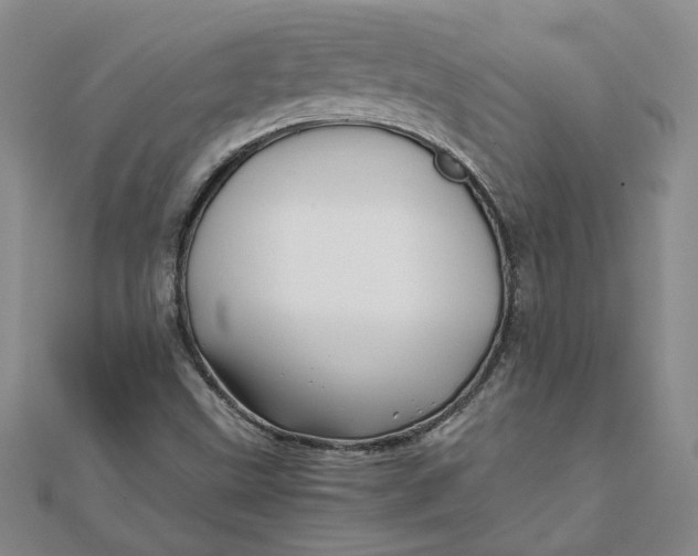 X0000111681499200908071414