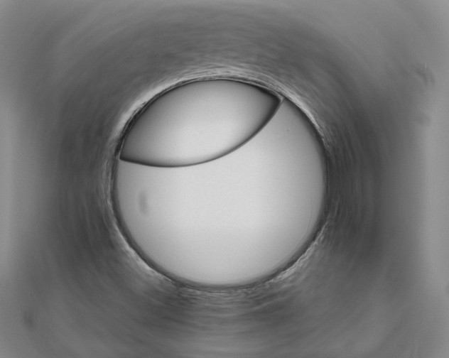 X0000111681500200908071414