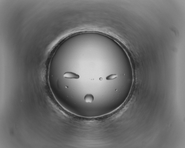 X0000111681502200908071414