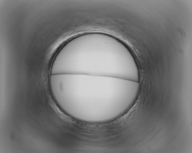 X0000111681503200908071414