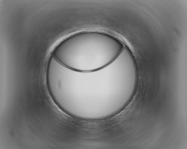 X0000111681504200908071414