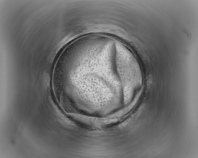 X0000111681505200908071414