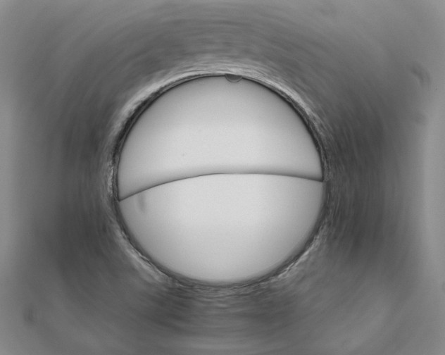 X0000111681507200908071414