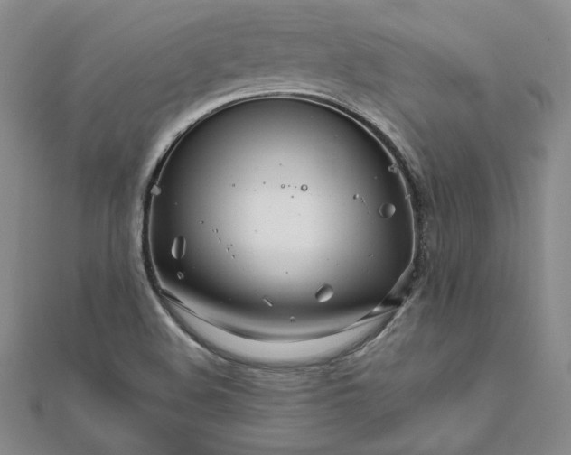 X0000111681508200908071414