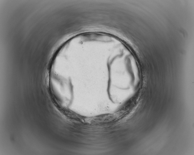 X0000111681509200908071414