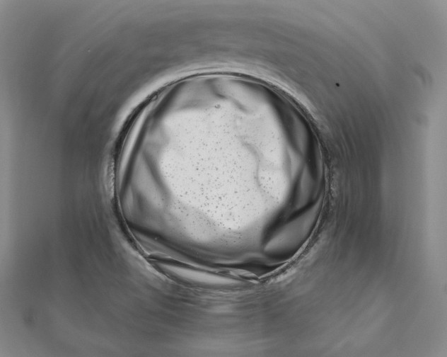 X0000111681510200908071414