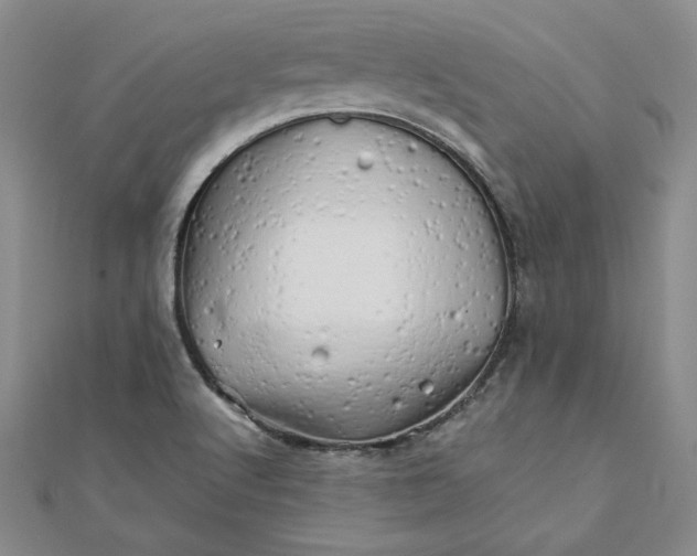 X0000111681512200908071414