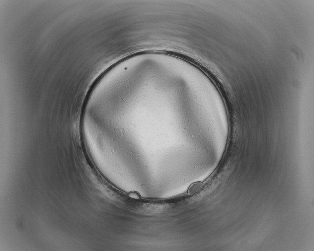 X0000111681513200908071414