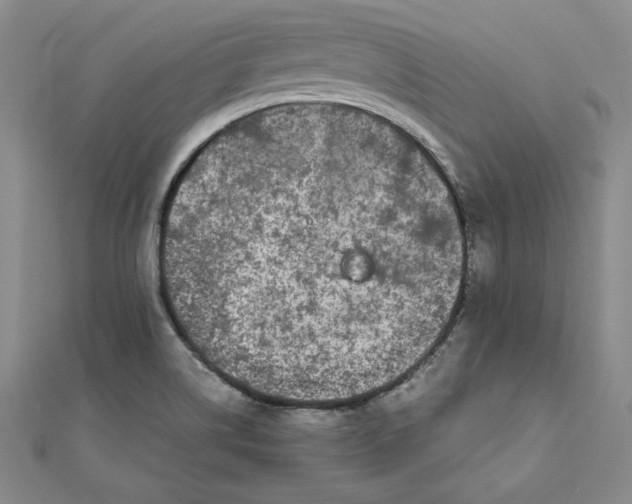 X0000111681514200908071414