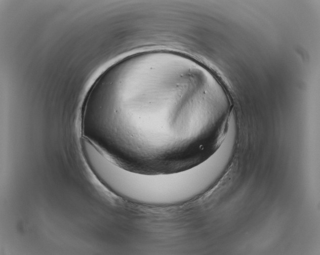 X0000111681516200908071414