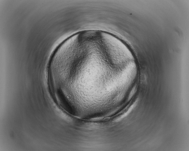 X0000111681517200908071414