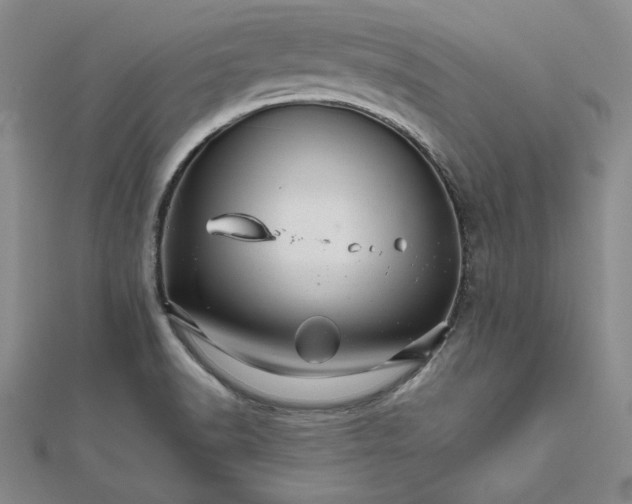 X0000111681518200908071414