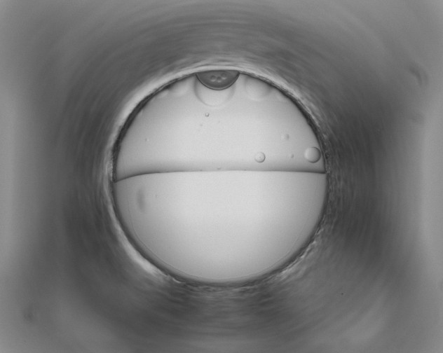 X0000111681519200908071414