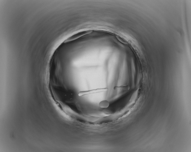 X0000111681520200908071414