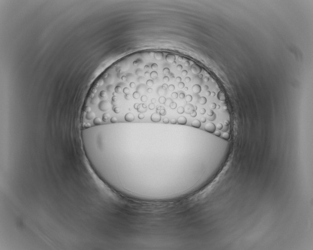 X0000111681521200908071414