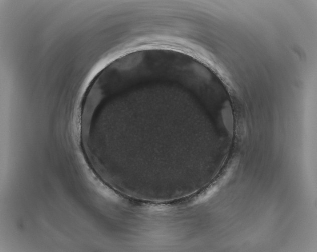 X0000111681522200908071414