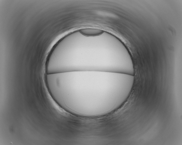 X0000111681523200908071414