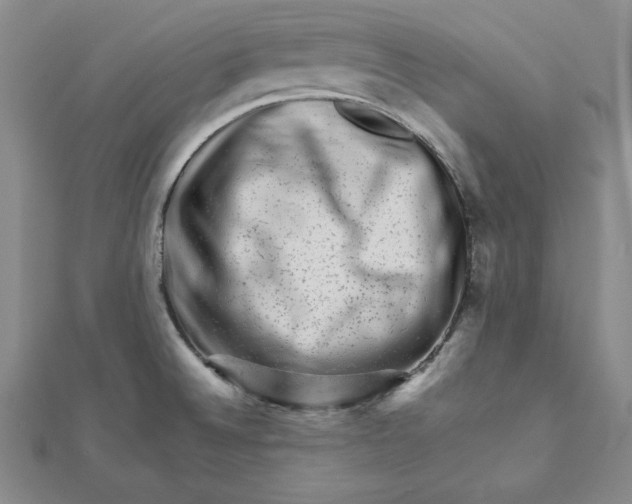 X0000111681524200908071414