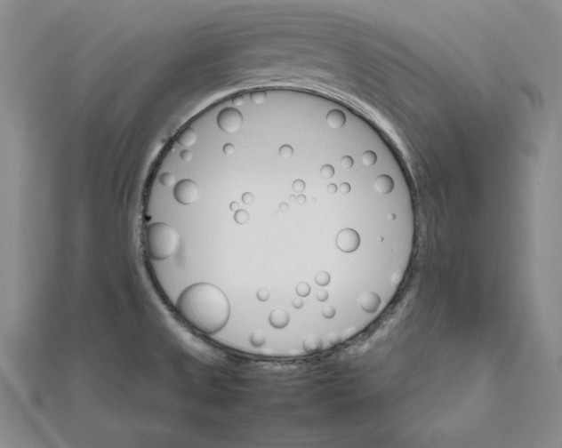 X0000111681525200908071415