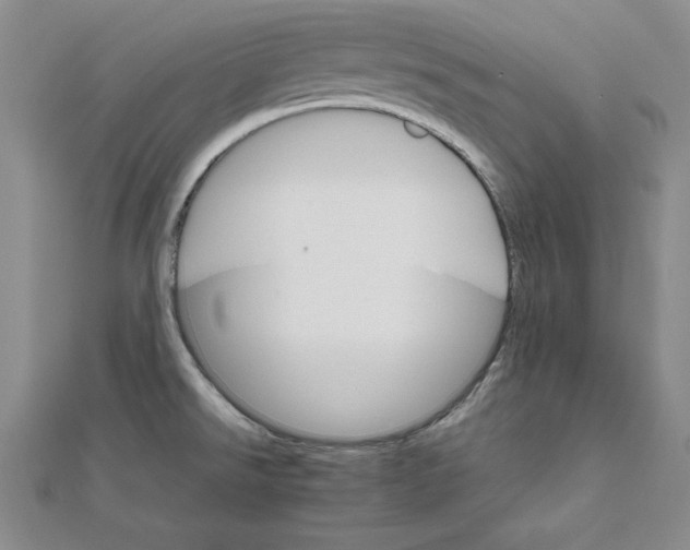 X0000111681526200908071415