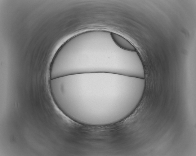 X0000111681527200908071415