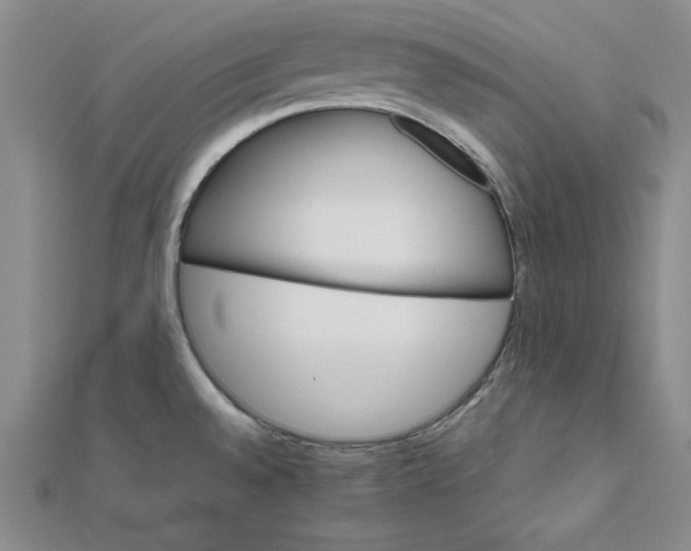 X0000111681528200908071415