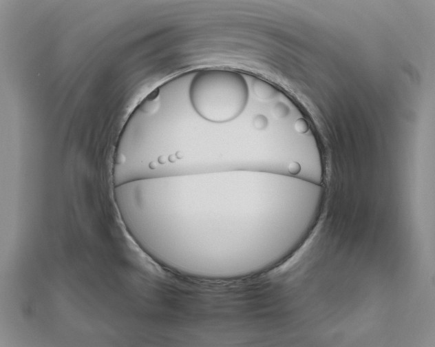 X0000111681529200908071415